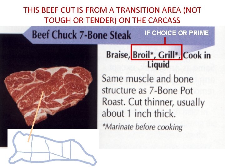 THIS BEEF CUT IS FROM A TRANSITION AREA (NOT TOUGH OR TENDER) ON THE