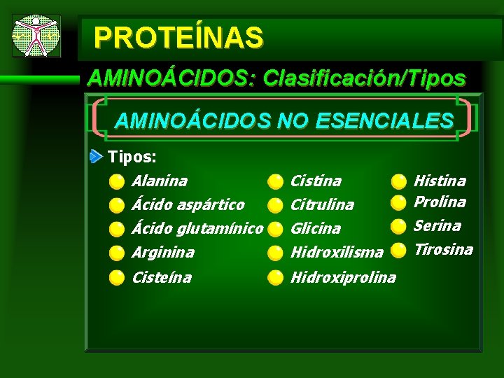 PROTEÍNAS AMINOÁCIDOS: Clasificación/Tipos AMINOÁCIDOS NO ESENCIALES Tipos: Alanina Ácido aspártico Ácido glutamínico Arginina Cisteína