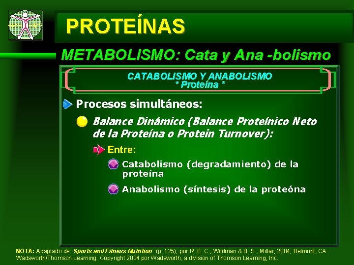 PROTEÍNAS METABOLISMO: Cata y Ana -bolismo CATABOLISMO Y ANABOLISMO * Proteína * Procesos simultáneos: