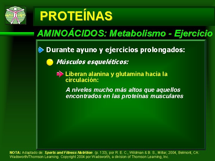 PROTEÍNAS AMINOÁCIDOS: Metabolismo - Ejercicio Durante ayuno y ejercicios prolongados: Músculos esqueléticos: Liberan alanina