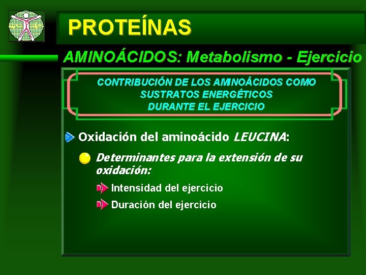 PROTEÍNAS AMINOÁCIDOS: Metabolismo - Ejercicio CONTRIBUCIÓN DE LOS AMINOÁCIDOS COMO SUSTRATOS ENERGÉTICOS DURANTE EL