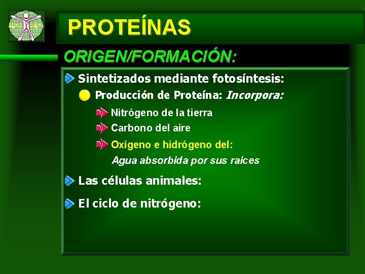 PROTEÍNAS ORIGEN/FORMACIÓN: Sintetizados mediante fotosíntesis: Producción de Proteína: Incorpora: Nitrógeno de la tierra Carbono PROTEÍNAS ORIGEN/FORMACIÓN: Sintetizados mediante fotosíntesis: Producción de Proteína: Incorpora: Nitrógeno de la tierra Carbono