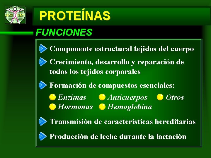 PROTEÍNAS FUNCIONES Componente estructural tejidos del cuerpo Crecimiento, desarrollo y reparación de todos los