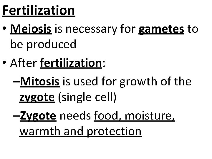 Fertilization • Meiosis is necessary for gametes to be produced • After fertilization: –Mitosis