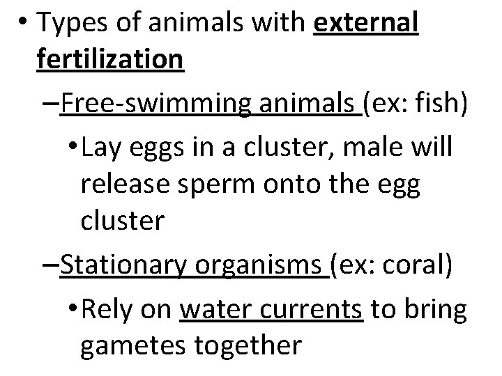  • Types of animals with external fertilization –Free-swimming animals (ex: fish) • Lay
