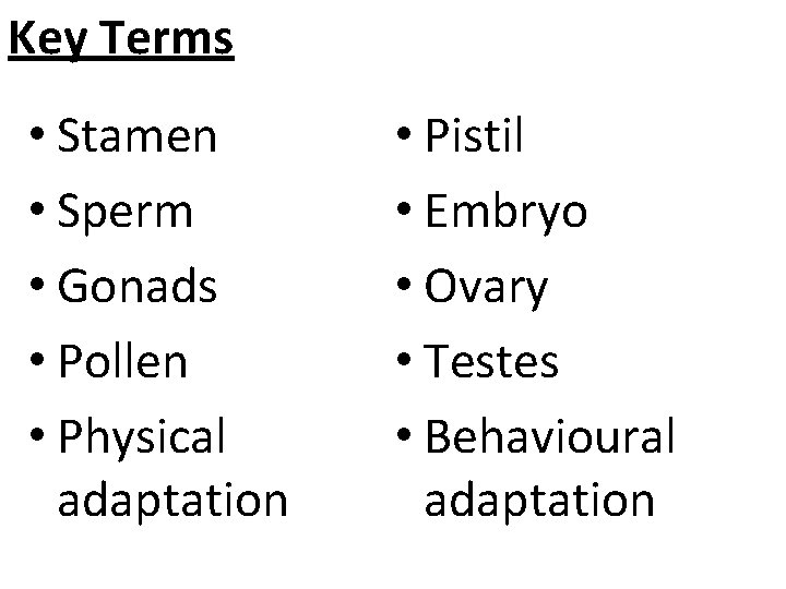 Key Terms • Stamen • Sperm • Gonads • Pollen • Physical adaptation •