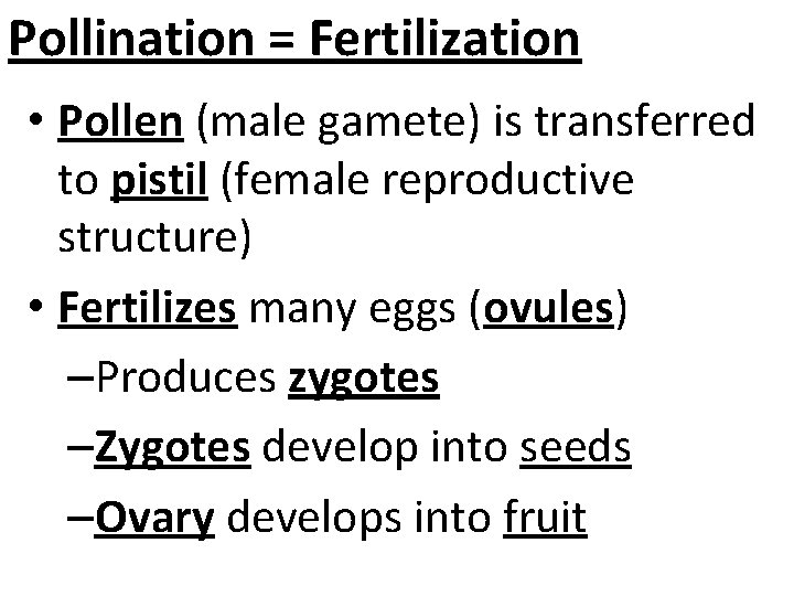 Pollination = Fertilization • Pollen (male gamete) is transferred to pistil (female reproductive structure)