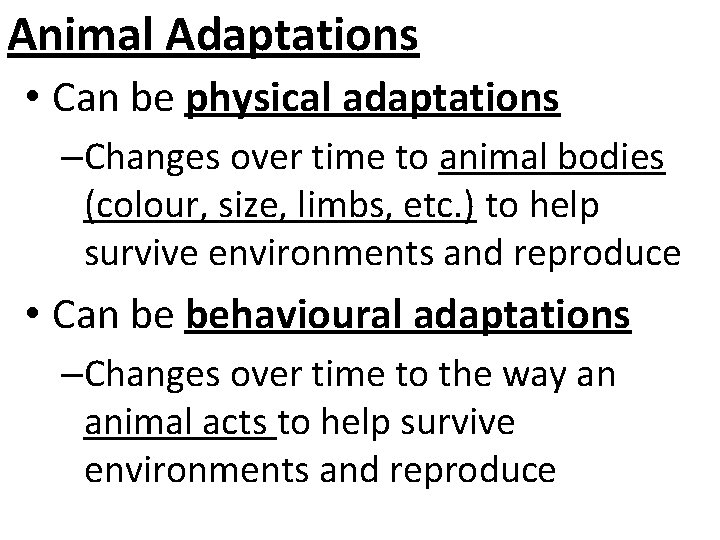 Animal Adaptations • Can be physical adaptations –Changes over time to animal bodies (colour,
