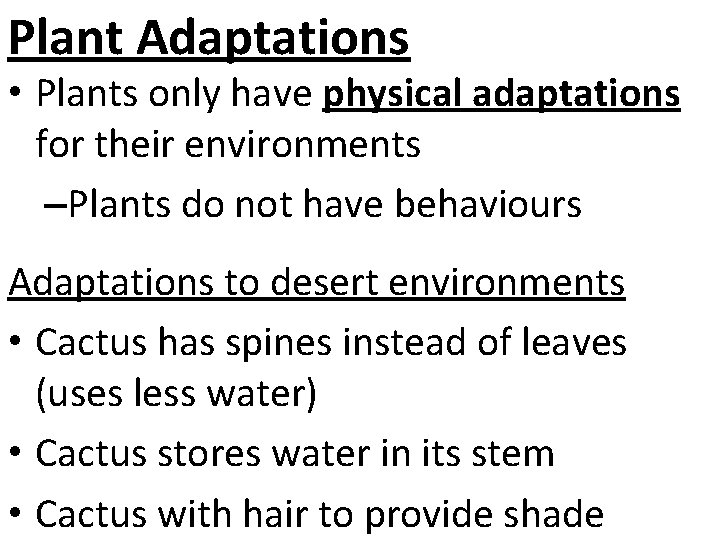 Plant Adaptations • Plants only have physical adaptations for their environments –Plants do not