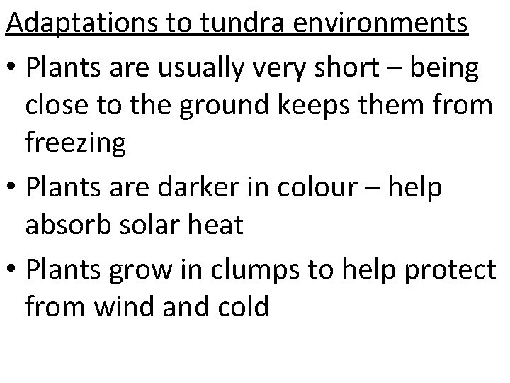 Adaptations to tundra environments • Plants are usually very short – being close to