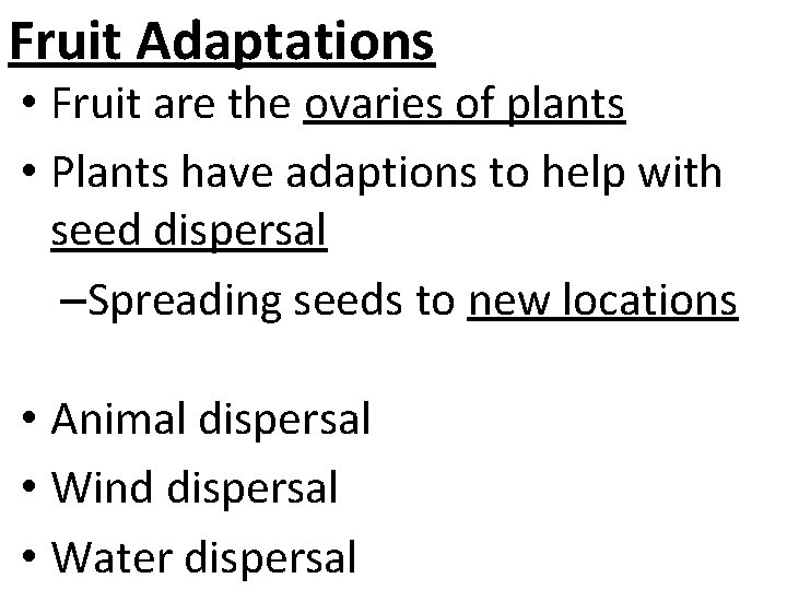 Fruit Adaptations • Fruit are the ovaries of plants • Plants have adaptions to