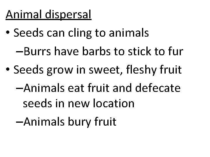 Animal dispersal • Seeds can cling to animals –Burrs have barbs to stick to