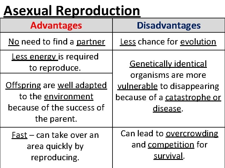 Asexual Reproduction Advantages Disadvantages No need to find a partner Less chance for evolution