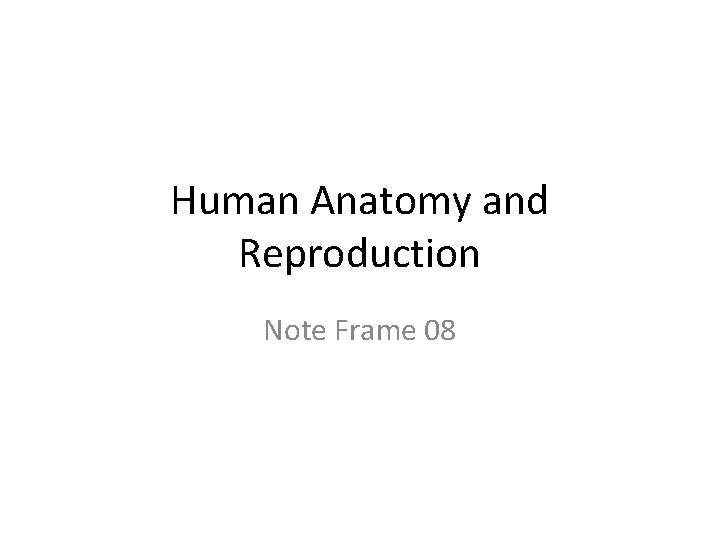 Human Anatomy and Reproduction Note Frame 08 