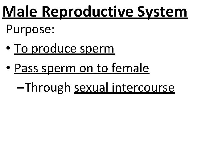 Male Reproductive System Purpose: • To produce sperm • Pass sperm on to female