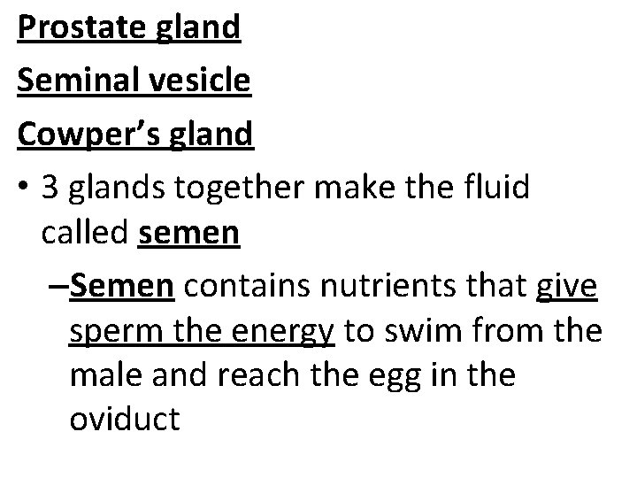 Prostate gland Seminal vesicle Cowper’s gland • 3 glands together make the fluid called