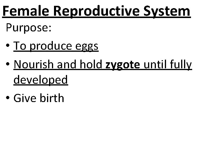 Female Reproductive System Purpose: • To produce eggs • Nourish and hold zygote until