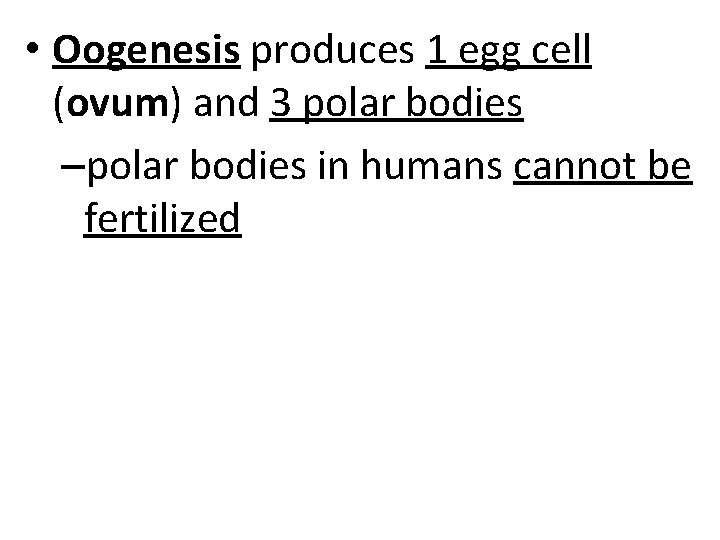  • Oogenesis produces 1 egg cell (ovum) and 3 polar bodies –polar bodies