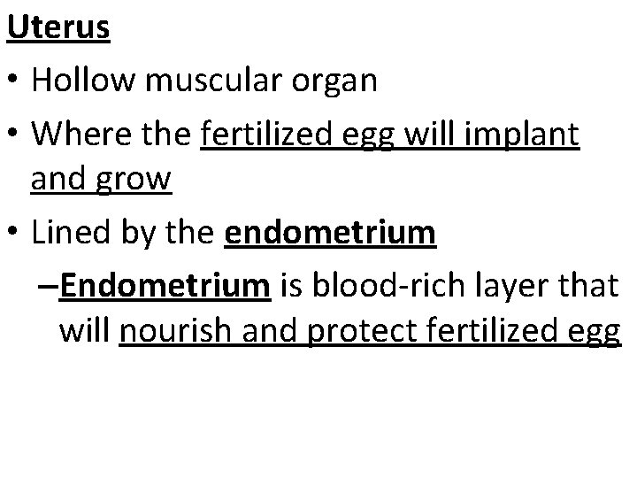 Uterus • Hollow muscular organ • Where the fertilized egg will implant and grow