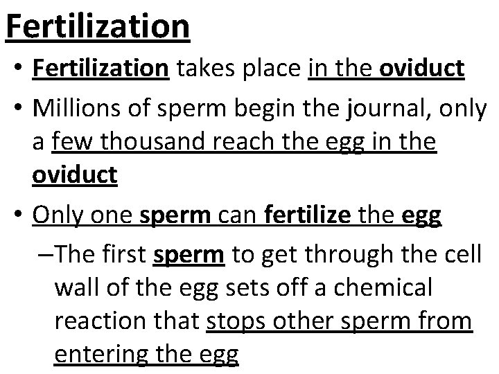 Fertilization • Fertilization takes place in the oviduct • Millions of sperm begin the