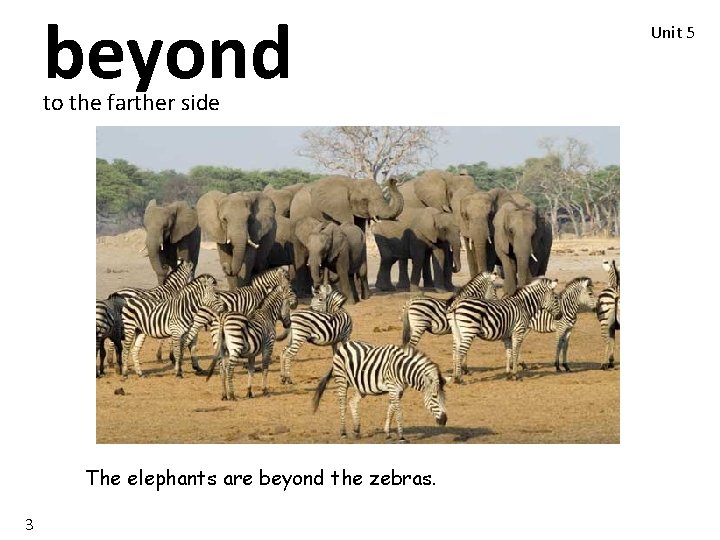 beyond to the farther side The elephants are beyond the zebras. 3 Unit 5 beyond to the farther side The elephants are beyond the zebras. 3 Unit 5