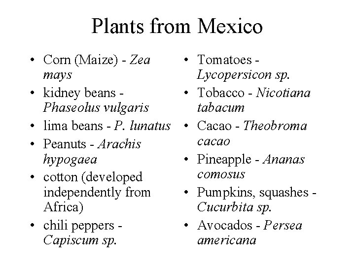 Plants from Mexico • Corn (Maize) - Zea mays • kidney beans Phaseolus vulgaris