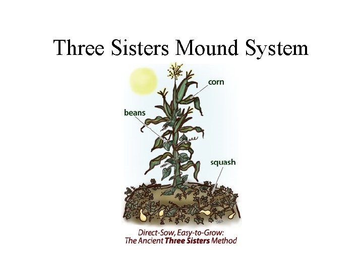 Three Sisters Mound System 