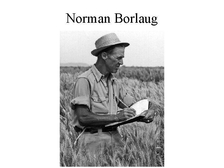 Norman Borlaug 