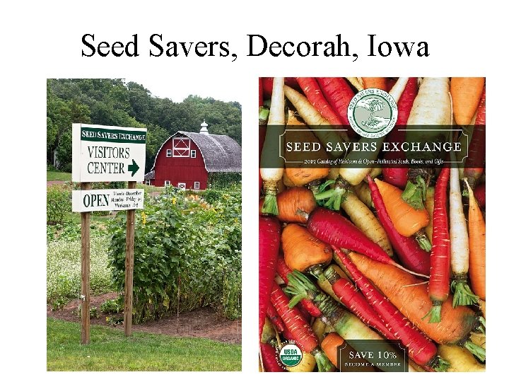 Seed Savers, Decorah, Iowa 