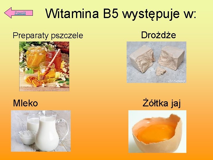  Witamina B 5 występuje w: Powrót Preparaty pszczele Drożdże Mleko Żółtka jaj 