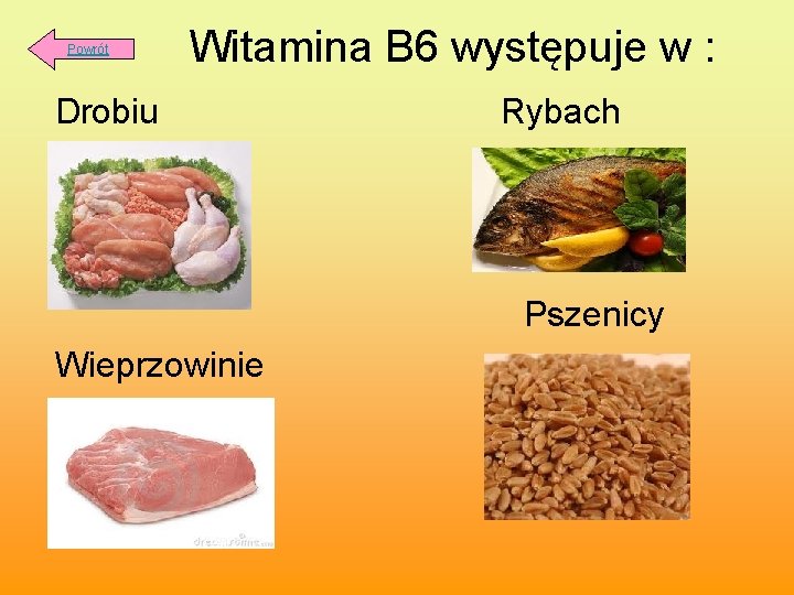  Witamina B 6 występuje w : Powrót Drobiu Rybach Pszenicy Wieprzowinie 