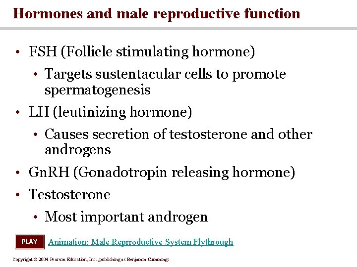 Hormones and male reproductive function • FSH (Follicle stimulating hormone) • Targets sustentacular cells