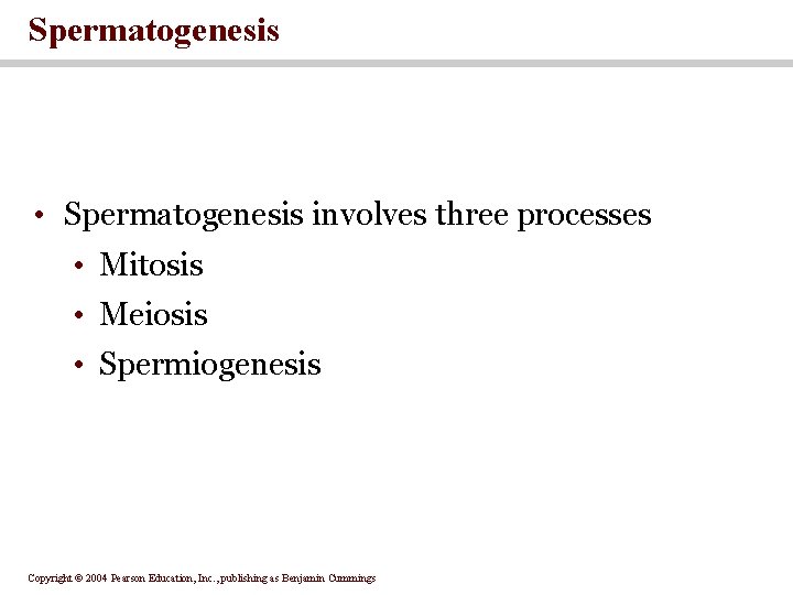 Spermatogenesis • Spermatogenesis involves three processes • Mitosis • Meiosis • Spermiogenesis Copyright ©