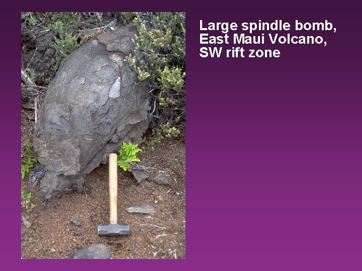 Large spindle bomb, East Maui Volcano, SW rift zone 