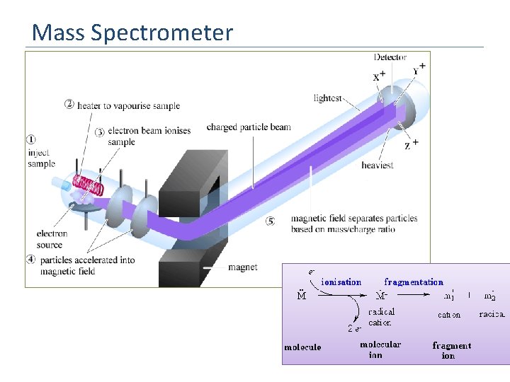 Mass Spectrometer 