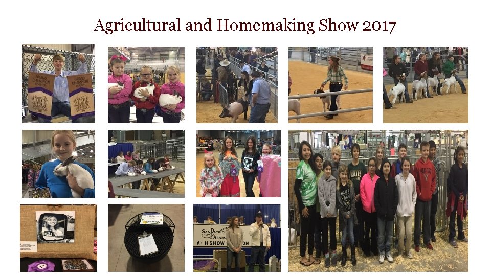 Agricultural and Homemaking Show 2017 