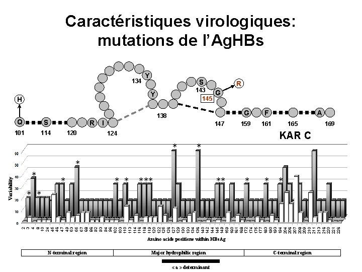 Caractéristiques virologiques: mutations de l’Ag. HBs 134 Y S 143 G 145 Y H