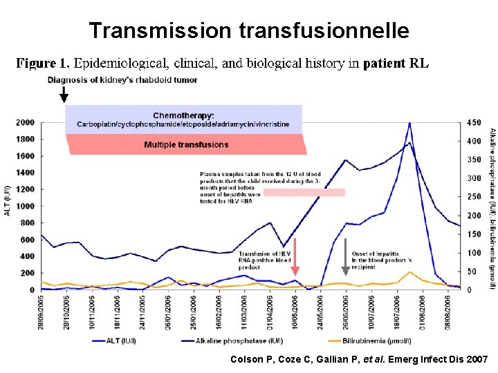 Transmission transfusionnelle Colson P, Coze C, Gallian P, et al. Emerg Infect Dis 2007