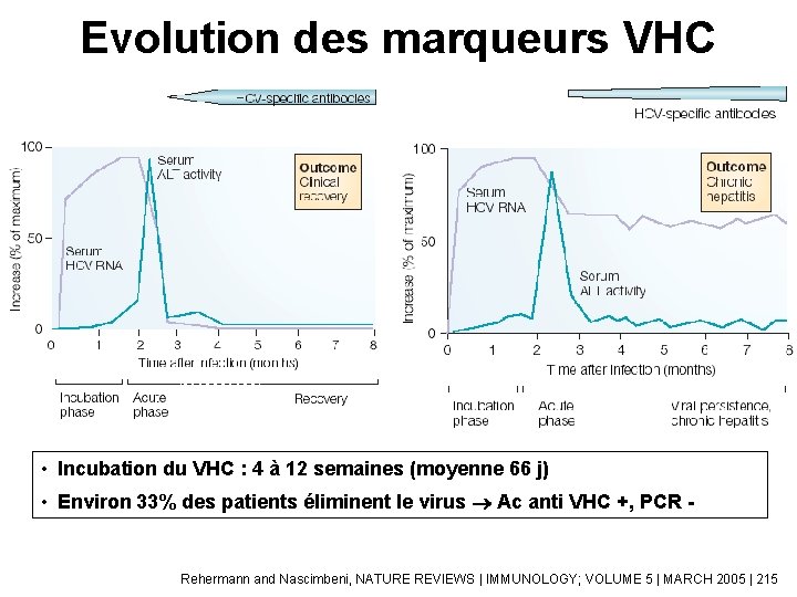 Evolution des marqueurs VHC • Incubation du VHC : 4 à 12 semaines (moyenne