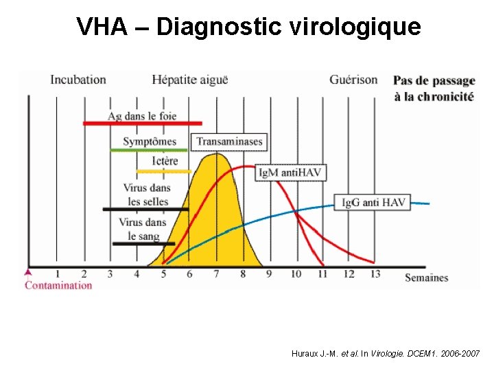 VHA – Diagnostic virologique Huraux J. -M. et al. In Virologie. DCEM 1. 2006