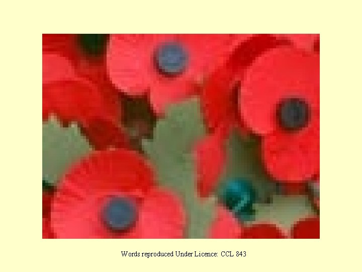 Words reproduced Under Licence: CCL 843 