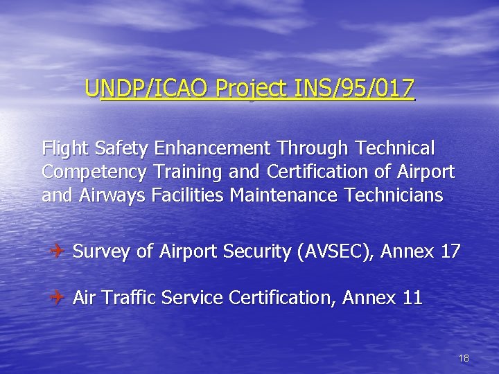 UNDP/ICAO Project INS/95/017 Flight Safety Enhancement Through Technical Competency Training and Certification of Airport