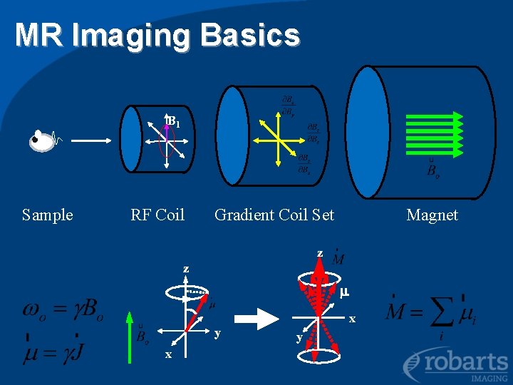 MR Imaging Basics B 1 Sample RF Coil Gradient Coil Set Magnet z z