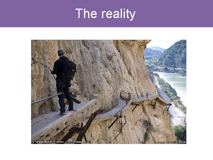 The reality The reality