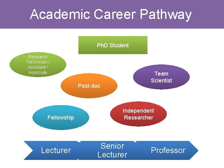 Academic Career Pathway Ph. D Student Research Technician / Assistant / Associate Team Scientist Academic Career Pathway Ph. D Student Research Technician / Assistant / Associate Team Scientist