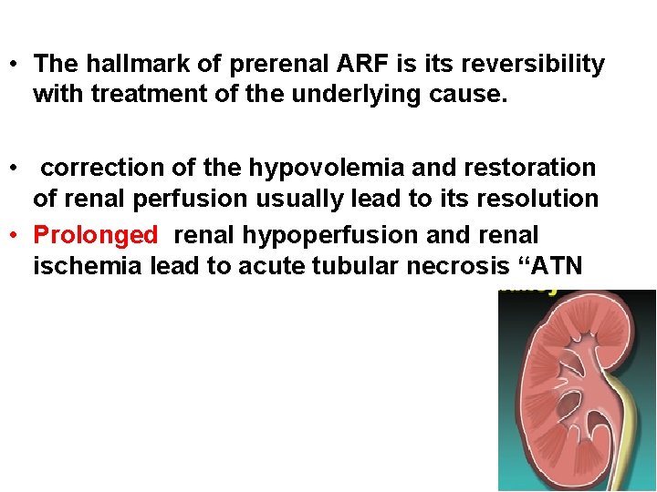  • The hallmark of prerenal ARF is its reversibility with treatment of the