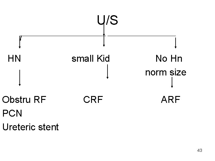 U/S HN Obstru RF PCN Ureteric stent small Kid CRF No Hn norm size