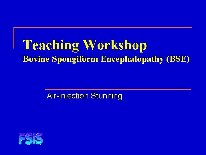 Teaching Workshop Bovine Spongiform Encephalopathy (BSE) Air-injection Stunning 