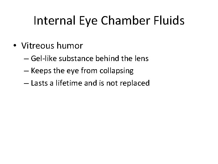 Internal Eye Chamber Fluids • Vitreous humor – Gel-like substance behind the lens –