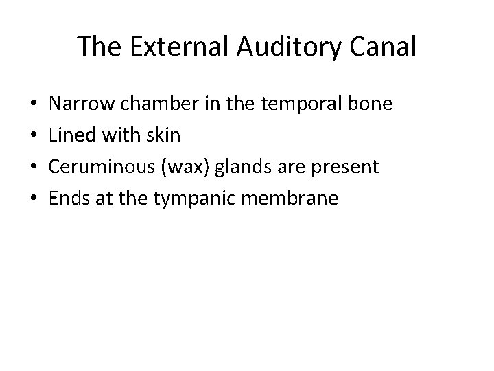 The External Auditory Canal • • Narrow chamber in the temporal bone Lined with